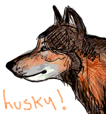 Dog! AkA, Huskypupp.
you may know me, you may not, just a quiet doggo.