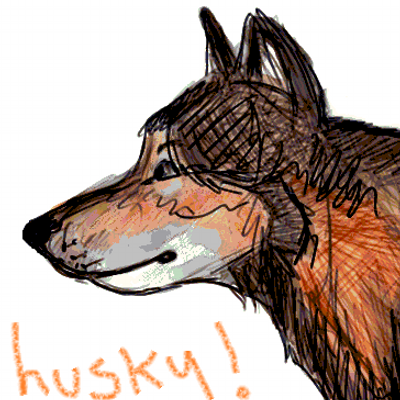 HuskyTheHusky's profile image