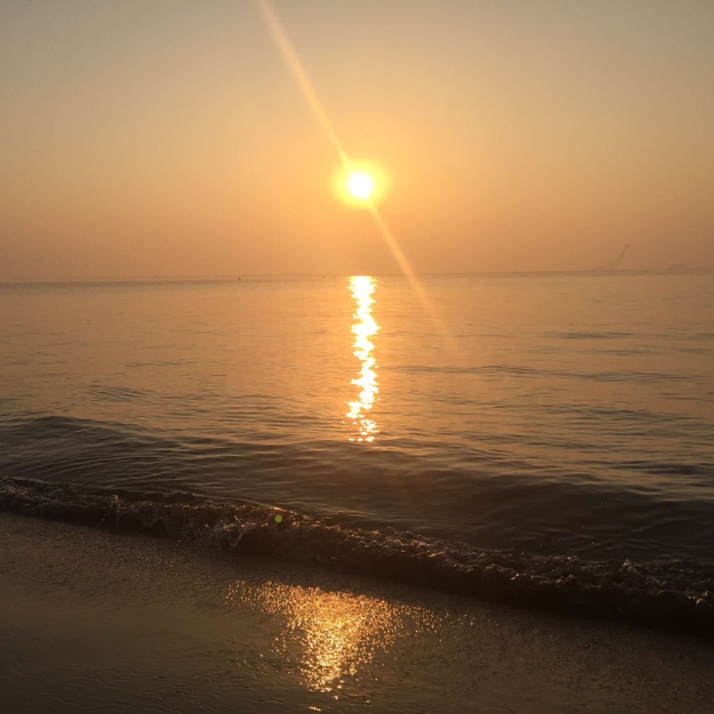 JoshuaChened's profile picture. Be strong.