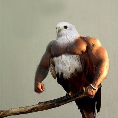 FullnodeHQ's profile picture. Doing cool stuff