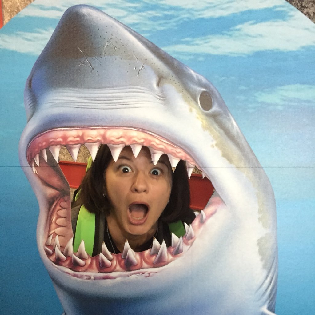 PolzerK's profile picture. 