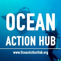 Ocean Action Hub 🌊 (@oceanactionhub) 's Twitter Profile Photo