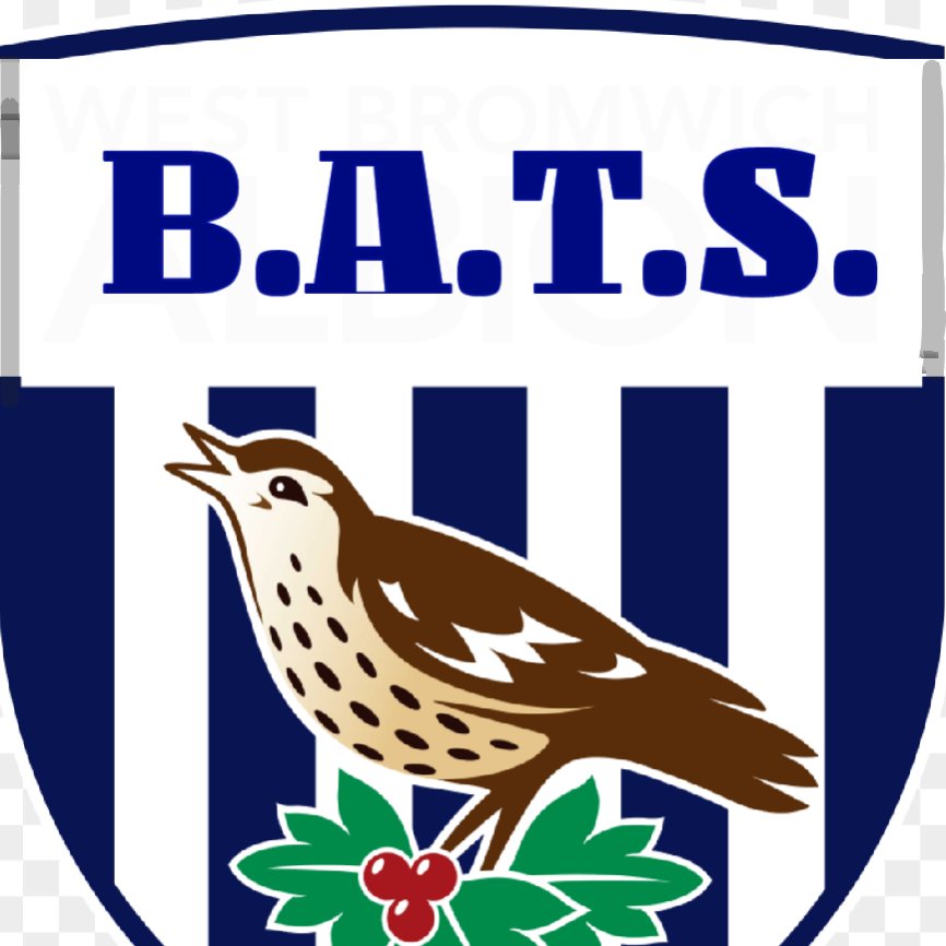 Baggies Abroad Travel Service - for West Bromwich Albion fans that follow their team overseas