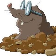 TopoLiyoMan's profile picture. Jugador de LOL y CSGO , follow me on twitch^^