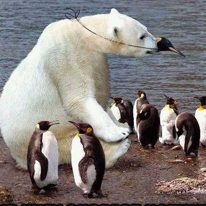 alboontika's profile picture. 