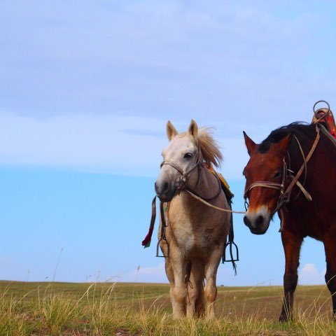 kani_private's profile picture. タッパーのサイズをいつも見誤る