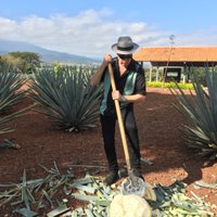 Sandy MacFadyen (@reposadist) 's Twitter Profile