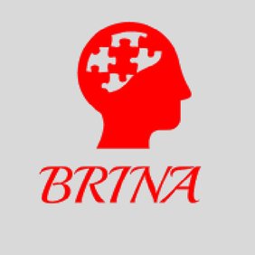 Brains In Action (BRINA)