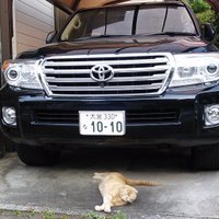 nobby (@nobby_saitama) 's Twitter Profile Photo nobby (@nobby_saitama) 's Twitter Profile Photo
