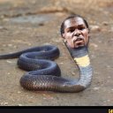 Erin Albright - @ErinAlbrighttt - Twitter