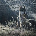 Scott EPPERSON - @ScottEPPERSON10 - Twitter