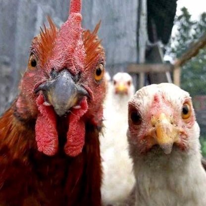 DavidKrafcik's profile picture. artist