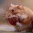 fluff_weather's avatar