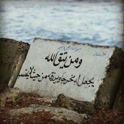 PE0v6aFVbgWVC3F's profile picture. احلم بوطن امن مستقر ينعم بالعدل ويسوده الاخاء بعيدا عن الطامعين وايدي العابثين