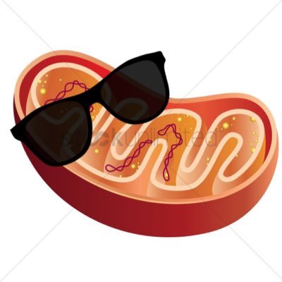 Mitochondria (@mightybioblast) | Twitter