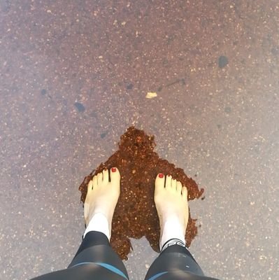 LittleCaitF's profile picture. Medical Engineer
Sport
Animal Welfare