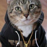 Gatu (@deadpoolh3lp) 's Twitter Profile