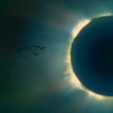 WolofBomberg's profile picture. To be insulted by these fascists, it's so degrading. And it's no game.