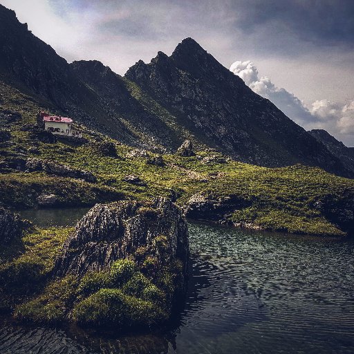 admepvppvp's profile picture. Soon