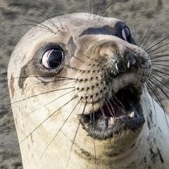 evanhadacat's profile picture. 