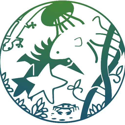 SICB DCB-DVMさんのプロフィール画像