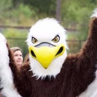 Lisa Harper (@harperclass) Twitter profile photo