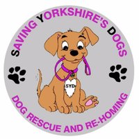 SYD RESCUE (@sydrescue) 's Twitter Profile