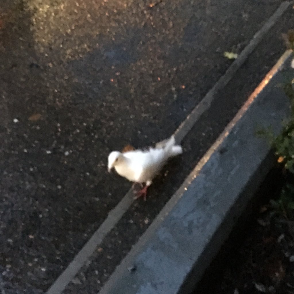 mrrp01's profile picture. V she/her UU