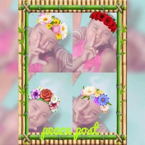 ShirlynkateD's profile picture. 