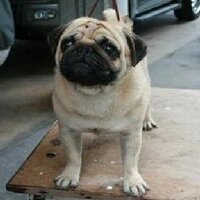 Aldrich Chua (@drich_31) 's Twitter Profile