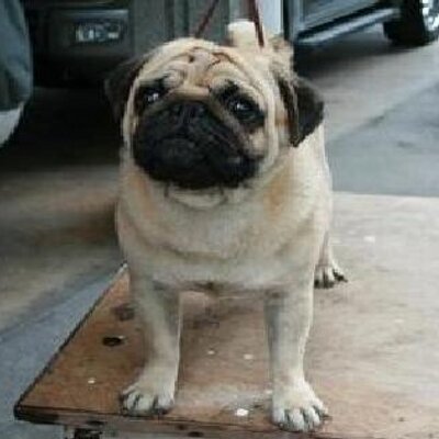 drich_31's profile image