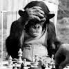 polancokomodo8's profile picture. 