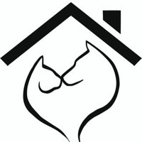 ππππππ€.π π£π β’ tu guΓa animable πΎ (@lealesorg) 's Twitter Profile