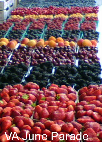 Agriberry Farm