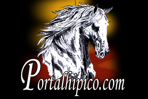 Andalusian Dressage
En Portalhipico representamos  26 ganaderías de todo el mundo con mas de 600 caballos de Pura Raza Española en venta
http://t.co/GOwpEIia