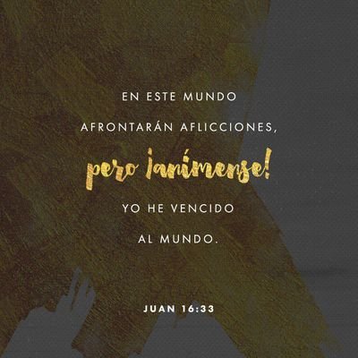 Saedito1's profile picture. 