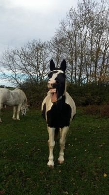 1971familylove2's profile picture. 