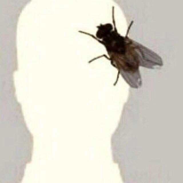 basim_g's profile picture. 