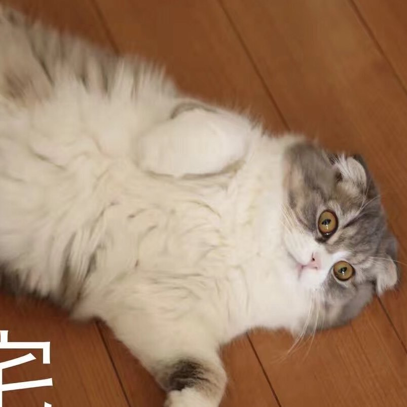 locstudy's profile picture. Interests: AI, NetworkSecurity, Neuroscience