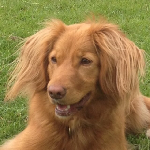 piersjohnston5's profile picture. 