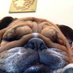 Watson's Vintage Finds (@watsonsvintage) Twitter profile photo Watson's Vintage Finds (@watsonsvintage) Twitter profile photo