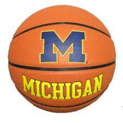 I love the Michigan Wolverines and my nieces and nephews....
M go bLUE !!  I am who I am ~ I don't pretend #24ever