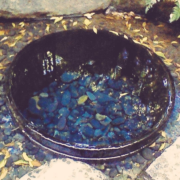 kohkohzoh's profile picture. 