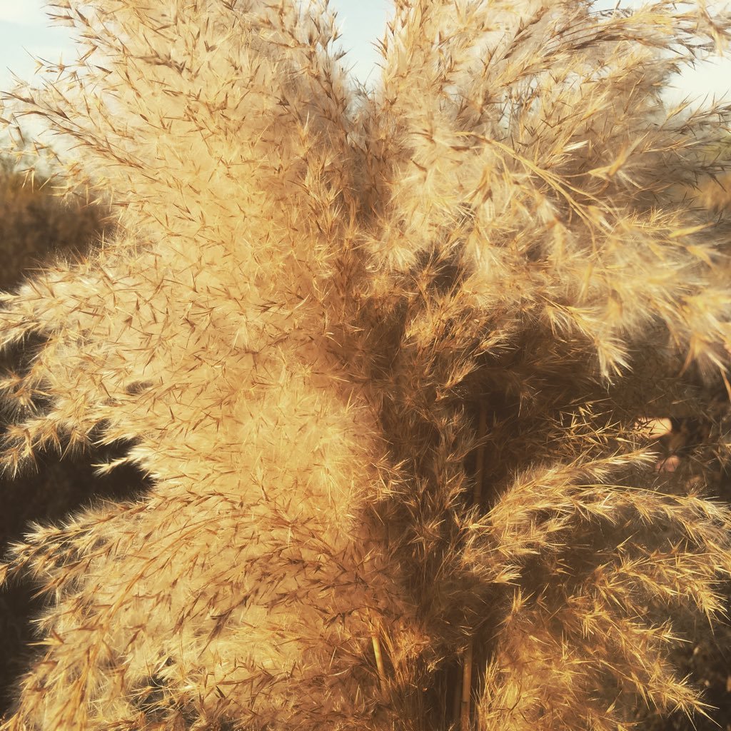 zBHD5xZNYKJxjLO's profile picture. 