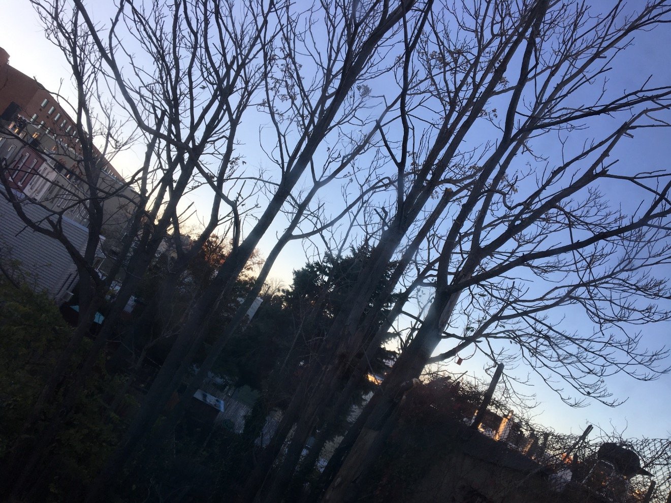 listening to music that speaks to my soul~ Camila/5 | Mazzi follows | Kendall follows
