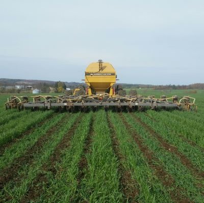 peterwienecke48's profile picture. grain producer/custom operator, fully licensed elevator, rookie strip tiller