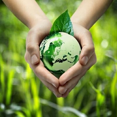 RajeevVerma_'s profile picture. #Organicfarming #Manure #Soil #Vermicompost #Sustainablefarming #India #Organicfood #Cottonseeds #biodiversity #plasticpollution #crops