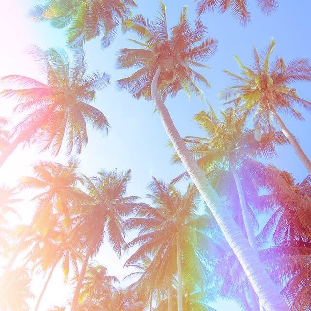 Be happy. Be kind. Follow your heart. Sparkle.❤️✨