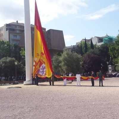 🇪🇦 Español, madrileño y sobre todo con orgullo, afiliado a @ppopular