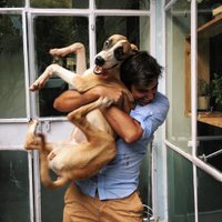 Tom Di Fonzo (@tomdfonzo) 's Twitter Profile